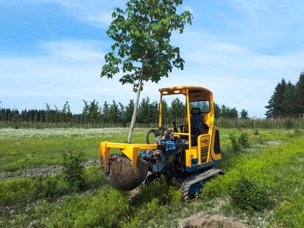 mde-rooien-met-kluit